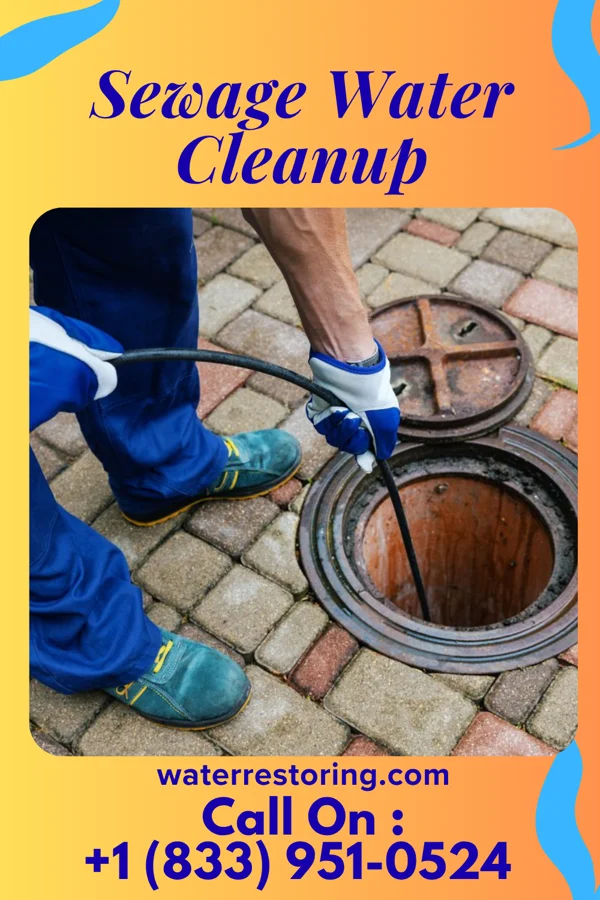 Sewage Water Cleanup in Bel-Ridge, MO
