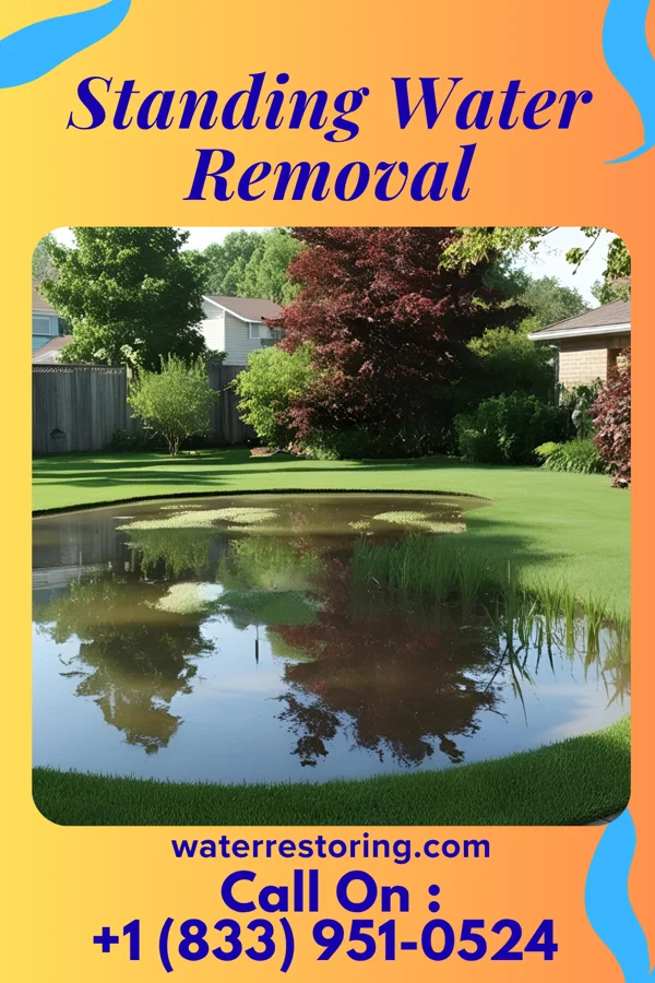 Standing Water Removal in Bel-Ridge, MO